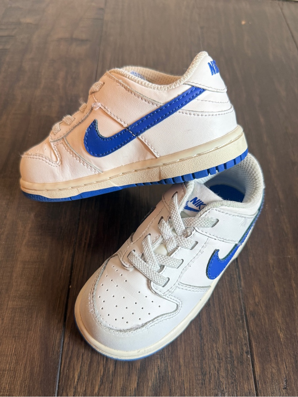 Nike Kids Dunk Low Sneakers